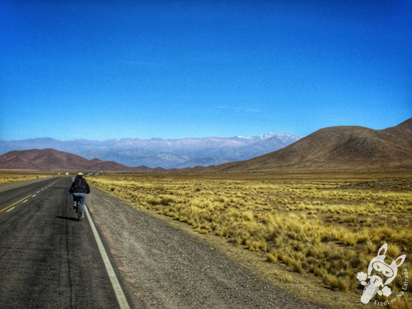 Ruta Provincial 33 - Valles Calchaquíes | Salta - Argentina | FredLee Na Estrada