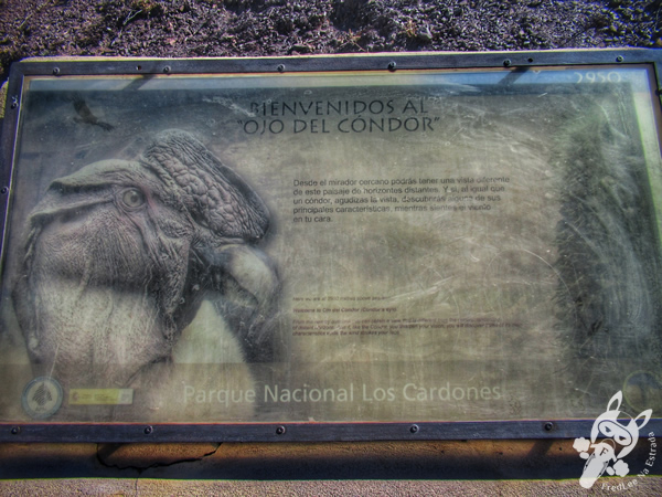 Mirador Ojo del Cóndor - Parque Nacional Los Cardones | Salta - Argentina | FredLee Na Estrada
