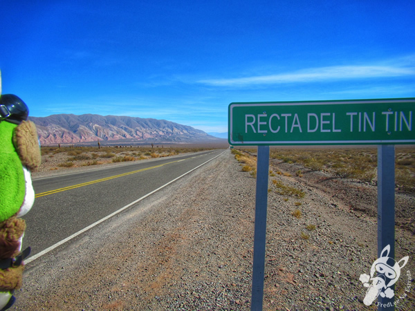 Recta del Tin Tin - Ruta Provincial 33 - Parque Nacional Los Cardones | Salta - Argentina | FredLee Na Estrada