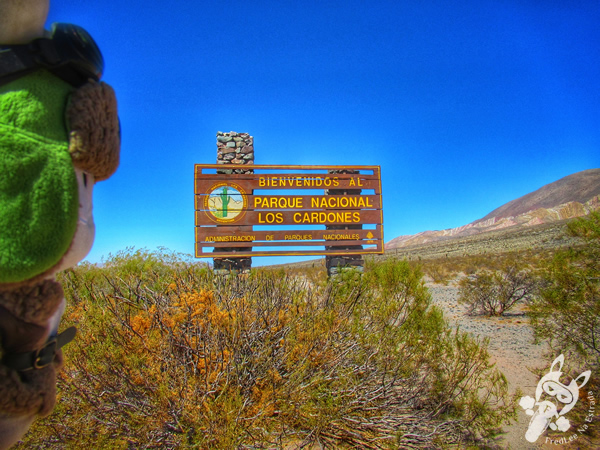 Recta del Tin Tin - Ruta Provincial 33 - Parque Nacional Los Cardones | Salta - Argentina | FredLee Na Estrada
