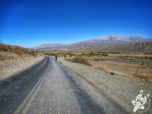 Ruta Nacional 40 - Valles Calchaquíes | Salta - Argentina | FredLee Na Estrada