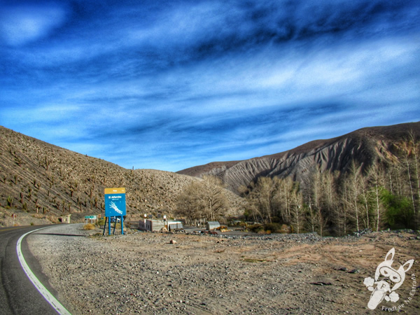 Quebrada de Tastil - Ruta Nacional 51 | Salta - Argentina | FredLee Na Estrada