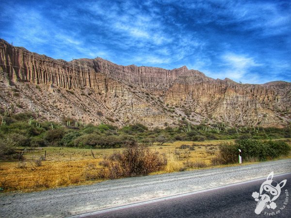 Ruta Nacional 9 | Argentina | FredLee Na Estrada