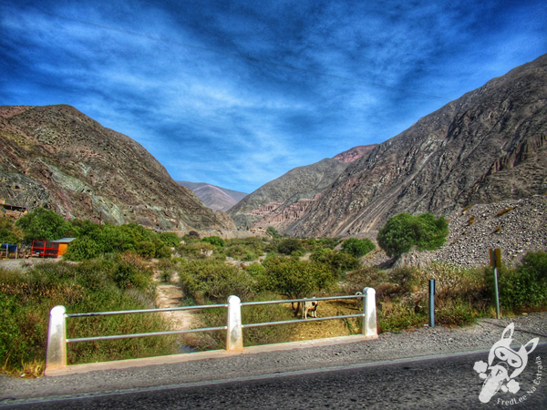 Ruta Nacional 9 | Quebrada de Humahuaca - Jujuy - Argentina | FredLee Na Estrada