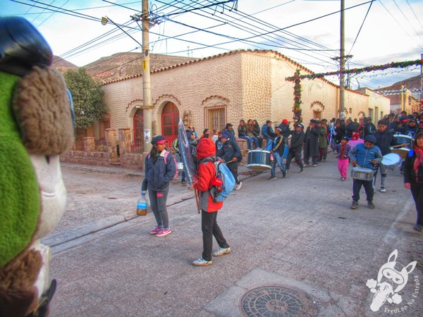 Virgen de Sixilera | San Francisco de Tilcara - Jujuy - Argentina | FredLee Na Estrada