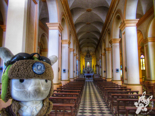 Catedral Nuestra Señora del Rosario | Cafayate - Salta - Argentina | FredLee Na Estrada
