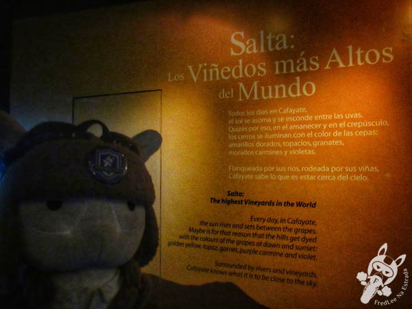 Museo de la Vid y el Vino | Cafayate - Salta - Argentina | FredLee Na Estrada