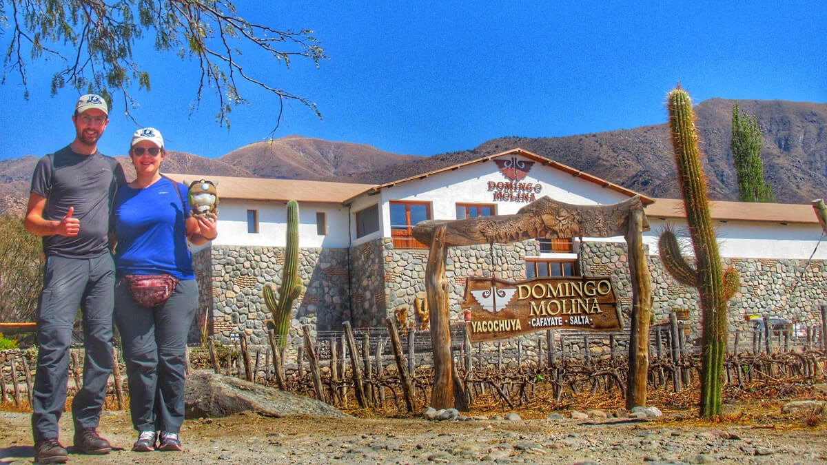 Vinícolas em Cafayate: Bodega Domingo Molina com parreiras, cactos e a Cordilheira dos Andes ao fundo em um dia de céu azul, no Vale Calchaquí, Salta, Argentina.