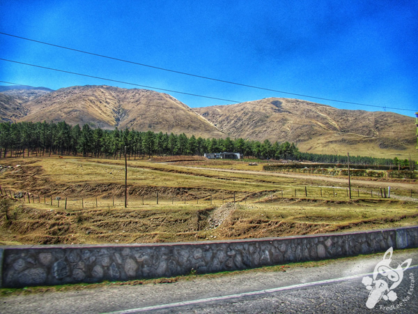 Ruta Provincial 307 | Argentina | FredLee Na Estrada