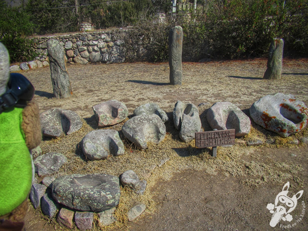 Reserva Arqueológica de Los Menhires - Museo arqueológico a cielo abierto Los Menhires | El Mollar - Tucumán - Argentina | FredLee Na Estrada
