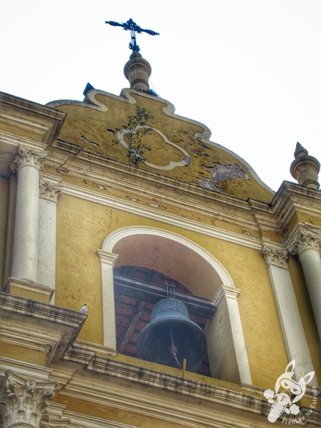 Catedral Basílica de San Francisco | San Miguel de Tucumán – Tucumán – Argentina | FredLee Na Estrada
