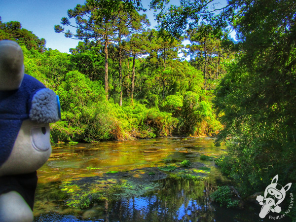 Rio Caracol - Parque Estadual do Caracol | Canela - Rio Grande do Sul - Brasil | FredLee Na Estrada