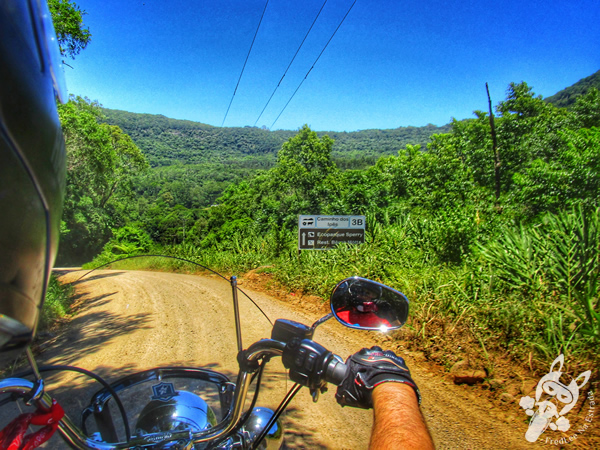 Estrada do Quilombo | Canela - Rio Grande do Sul - Brasil | FredLee Na Estrada