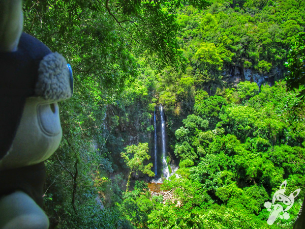 Cachoeira do Trombão - Ecoparque Sperry | Canela - Rio Grande do Sul - Brasil | FredLee Na Estrada