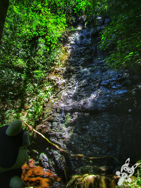 Cachoeira Escondida - Ecoparque Sperry | Canela - Rio Grande do Sul - Brasil | FredLee Na Estrada