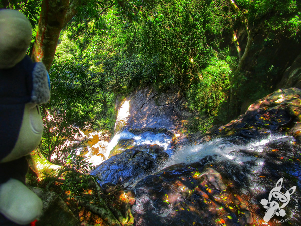 Cachoeira da Usina - Ecoparque Sperry | Canela - Rio Grande do Sul - Brasil | FredLee Na Estrada
