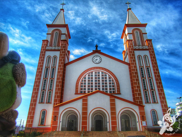 Catedral Santo Antônio | Chapecó - Santa Catarina - Brasil | FredLee Na Estrada