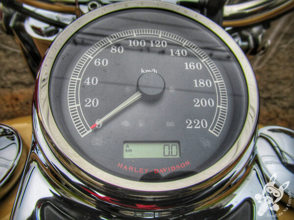 Hodômetro parcial da Harley-Davidson Heritage Softail Classic zerado | FredLee Na Estrada
