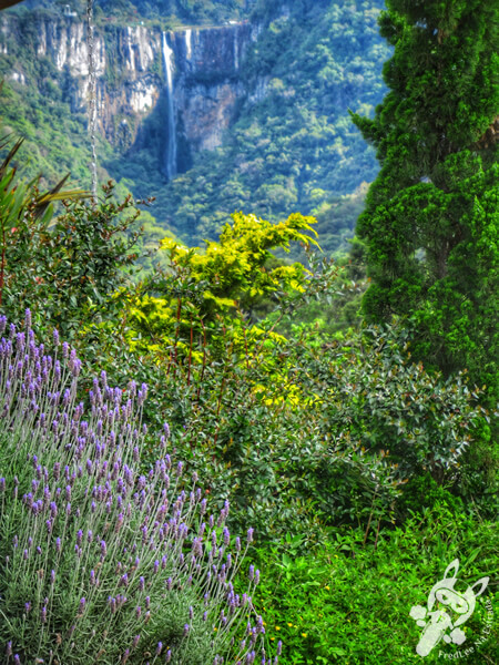 Cascata do Avencal | Urubici - Santa Catarina - Brasil | FredLee Na Estrada