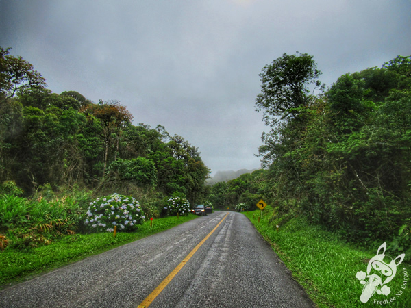 Estrada da Graciosa - Rodovia PR-410 | FredLee Na Estrada