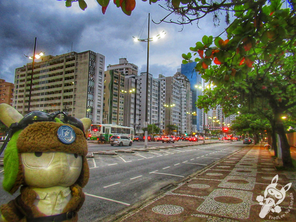 Avenida Presidente Wilson | Santos - São Paulo - Brasil | FredLee Na Estrada