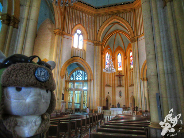 Catedral de Santos - Centro Histórico | Santos - São Paulo - Brasil | FredLee Na Estrada