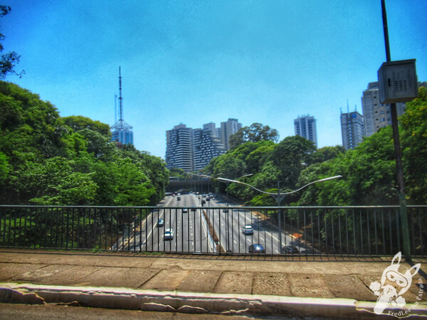 São Paulo - São Paulo - Brasil | FredLee Na Estrada