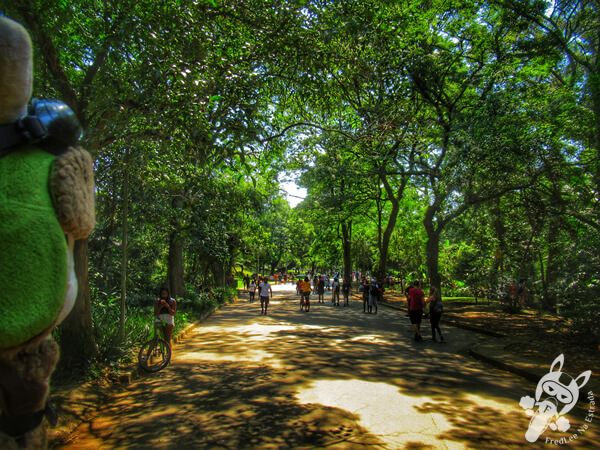 Parque Ibirapuera | São Paulo - São Paulo - Brasil | FredLee Na Estrada