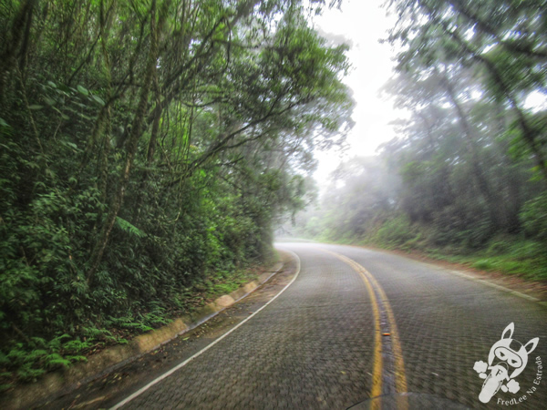 Estrada Parque Paraty-Cunha - Rodovia RJ-165 | FredLee Na Estrada