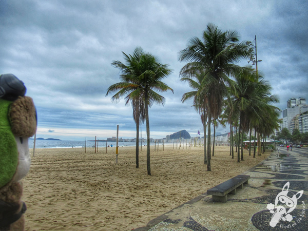 Praia do Leme | Rio de Janeiro - Rio de Janeiro - Brasil | FredLee Na Estrada