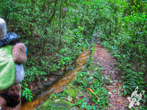 Trilha Mãe D’Água | Parque Nacional da Serra dos Órgãos - Parnaso - ICMBio - Sede Guapimirim | FredLee Na Estrada