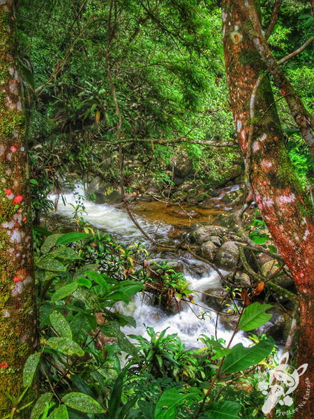 Trilha da Capela | Parque Nacional da Serra dos Órgãos - Parnaso - ICMBio - Sede Guapimirim | FredLee Na Estrada