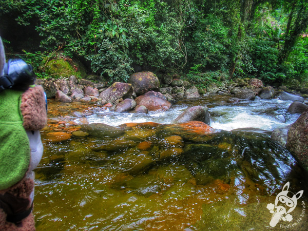 Trilha da Capela | Parque Nacional da Serra dos Órgãos - Parnaso - ICMBio - Sede Guapimirim | FredLee Na Estrada
