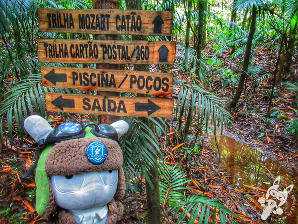 Trilha 360 - Parque Nacional da Serra dos Órgãos – Parnaso | Teresópolis - Rio de Janeiro - Brasil | FredLee Na Estrada