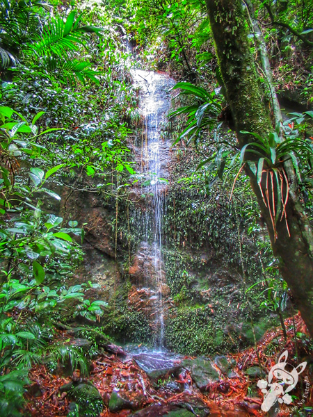 Fonte Othon Leonardos - Parque Nacional da Serra dos Órgãos – Parnaso | Teresópolis - Rio de Janeiro - Brasil | FredLee Na Estrada