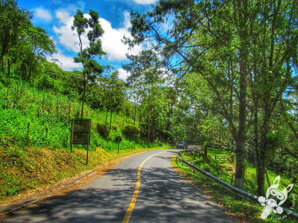 Estrada Sertão da Bocaina - Rodovia SP-247 | FredLee Na Estrada