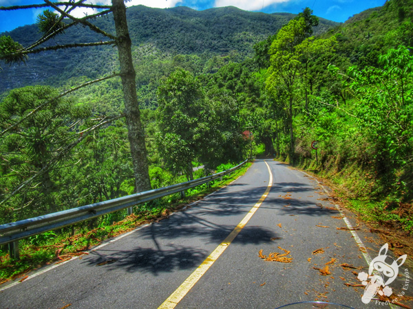 Estrada Sertão da Bocaina - Rodovia SP-247 | FredLee Na Estrada