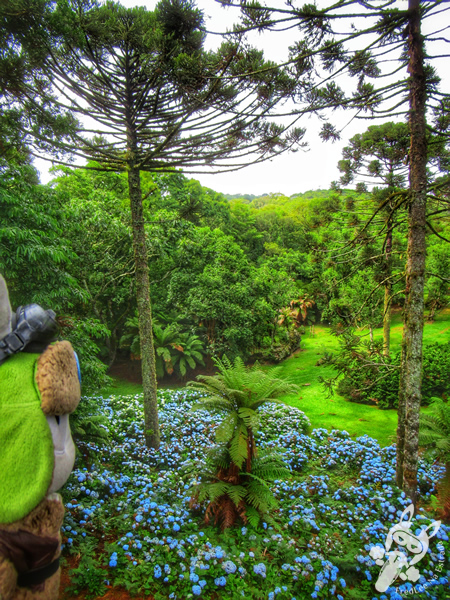 Jardim Botânico de Faxinal do Céu | Faxinal do Céu - Pinhão - Paraná - Brasil | FredLee Na Estrada