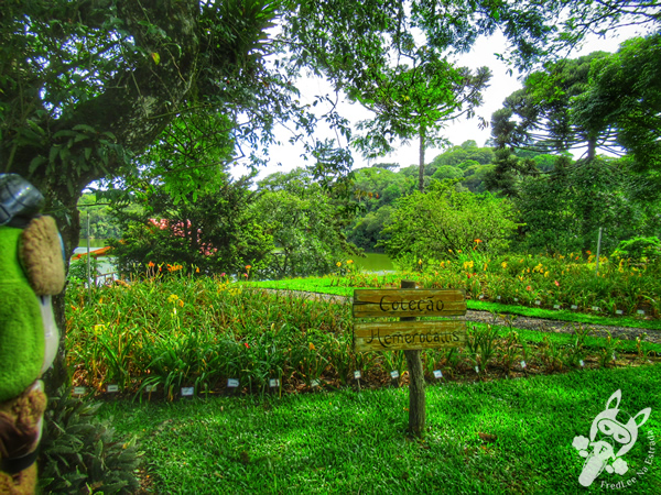 Jardim Botânico de Faxinal do Céu | Faxinal do Céu - Pinhão - Paraná - Brasil | FredLee Na Estrada