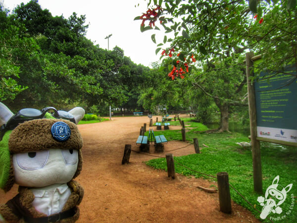 Parque Moinhos de Vento | Porto Alegre - Rio Grande do Sul - Brasil | FredLee Na Estrada