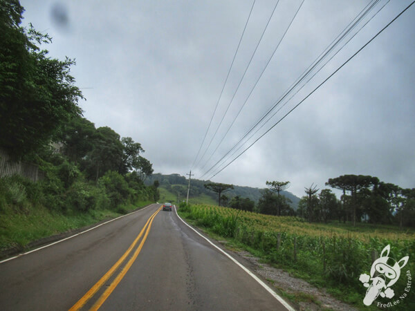 Estrada Linha Bonita | Gramado - Rio Grande do Sul - Brasil | FredLee Na Estrada