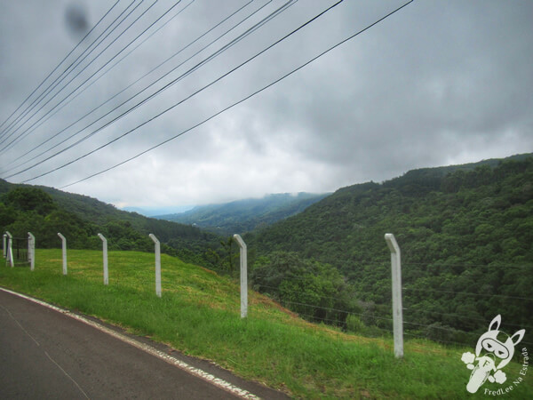 Estrada Linha Bonita | Gramado - Rio Grande do Sul - Brasil | FredLee Na Estrada
