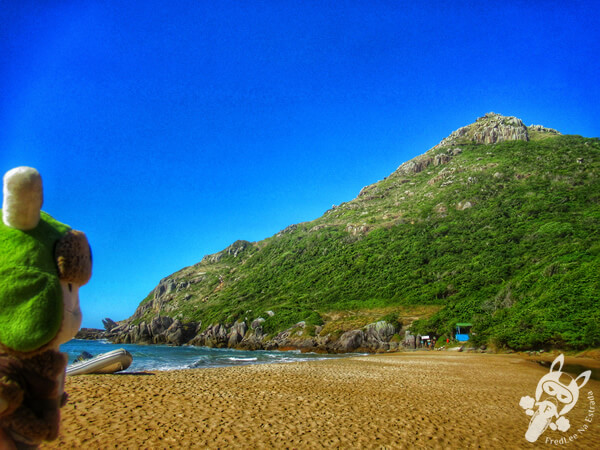 Praia da Lagoinha do Leste | Florianópolis - Santa Catarina - Brasil | FredLee Na Estrada