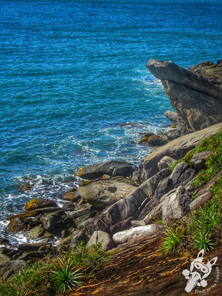 Trilha do Morro da Coroa - Praia da Lagoinha do Leste | Florianópolis - Santa Catarina - Brasil | FredLee Na Estrada