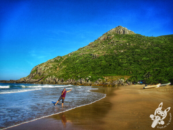Praia da Lagoinha do Leste | Florianópolis - Santa Catarina - Brasil | FredLee Na Estrada