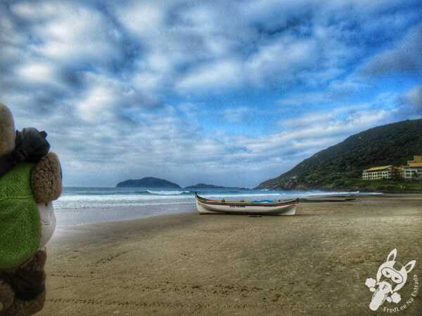 Praia do Santinho | Florianópolis - Santa Catarina - Brasil | FredLee Na Estrada