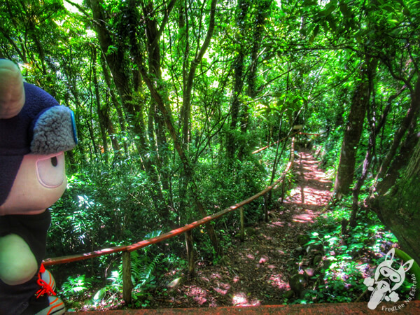 Parque da Cascata do Tigre | Machadinho - Rio Grande do Sul - Brasil | FredLee Na Estrada