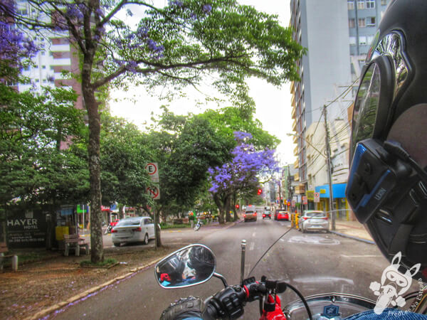 Avenida Maurício Cardoso | Erechim - Rio Grande do Sul - Brasil | FredLee Na Estrada