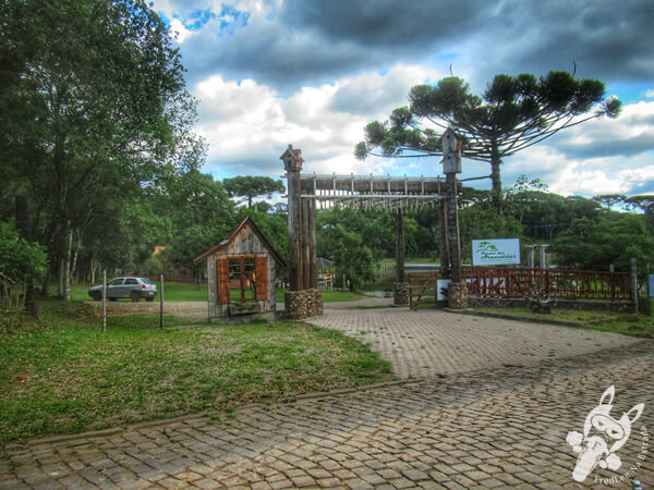 Parque das Araucárias | Arvorezinha - Rio Grande do Sul - Brasil | FredLee Na Estrada