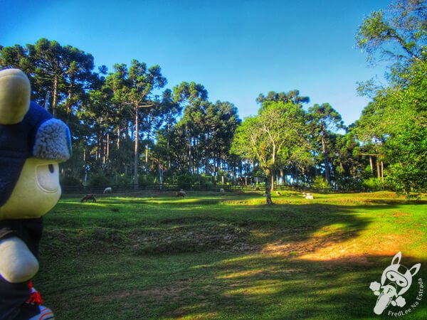 Parque das Araucárias | Arvorezinha - Rio Grande do Sul - Brasil | FredLee Na Estrada